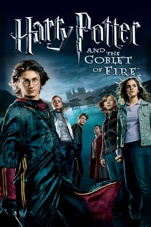 Fire & Ice (2008) Hindi Dual Audio 300MB